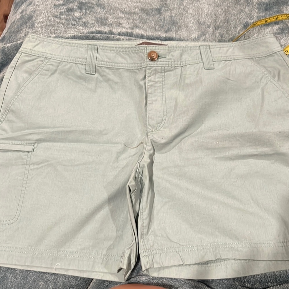 Eddie Bauer Teal/Light Blue Shorts